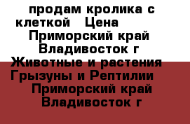 продам кролика с клеткой › Цена ­ 2 500 - Приморский край, Владивосток г. Животные и растения » Грызуны и Рептилии   . Приморский край,Владивосток г.